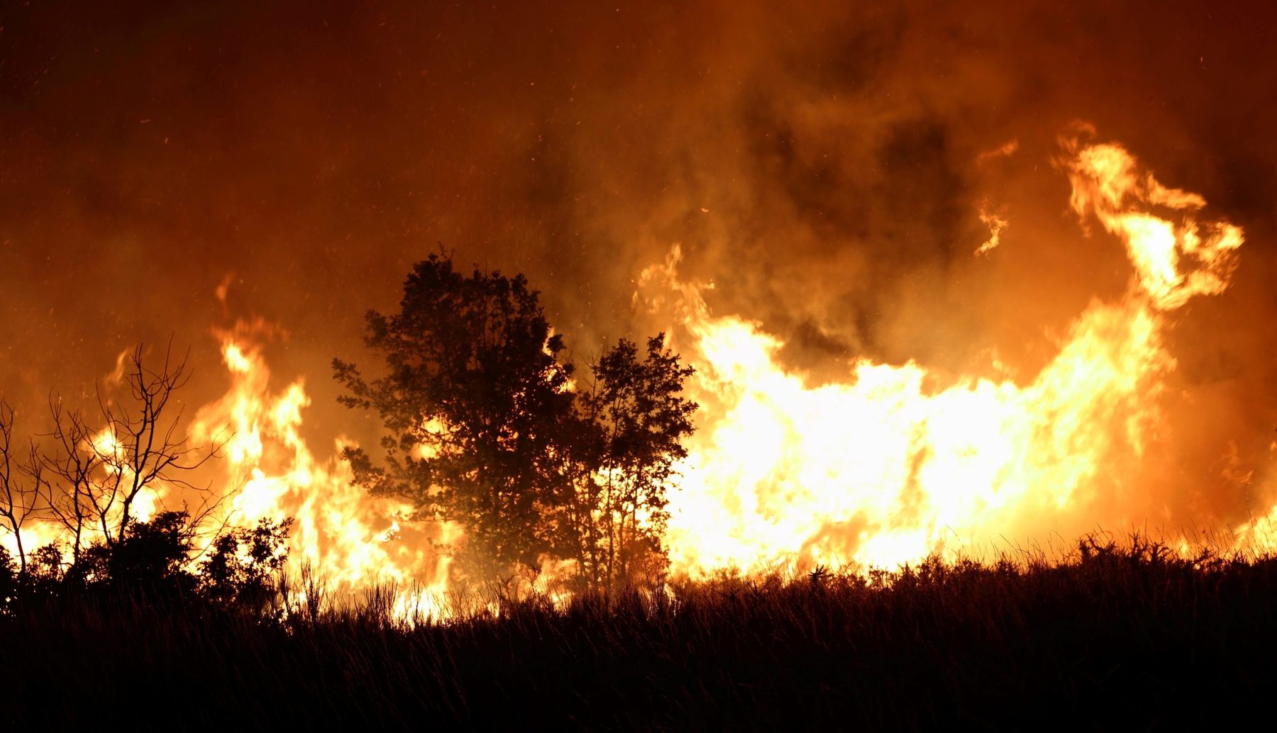 Die Brände in Patagonien zählen zu den schwersten Waldbränden der vergangenen Jahrzehnte
