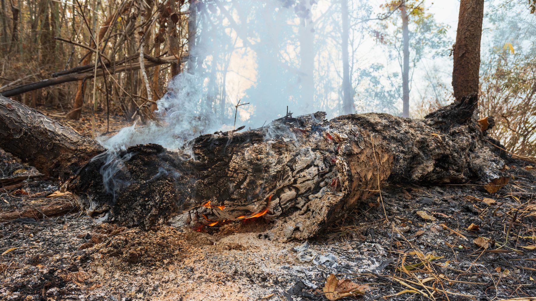 Für 85 Prozent Argentiniens besteht eine sehr hohe Waldbrandgefahr